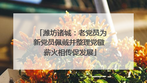 潍坊诸城：老党员为新党员佩戴并整理党徽 薪火相传促发展