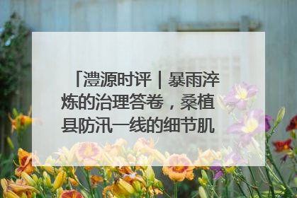 澧源时评｜暴雨淬炼的治理答卷，桑植县防汛一线的细节肌理与体系力量