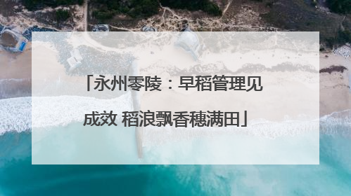 永州零陵：早稻管理见成效 稻浪飘香穗满田
