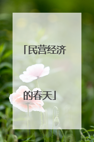 民营经济的春天