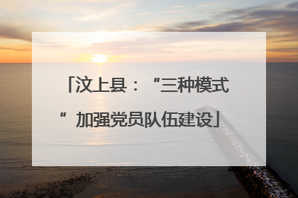 汶上县：“三种模式”加强党员队伍建设