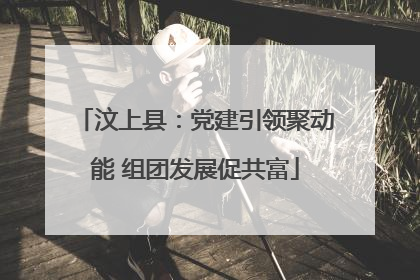 汶上县：党建引领聚动能 组团发展促共富