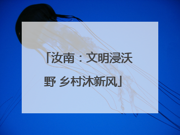 汝南：文明浸沃野 乡村沐新风