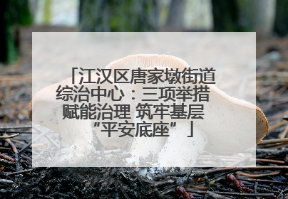 江汉区唐家墩街道综治中心：三项举措赋能治理 筑牢基层“平安底座”