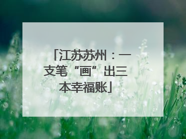 江苏苏州：一支笔“画”出三本幸福账