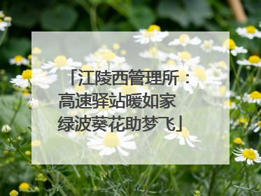 江陵西管理所：高速驿站暖如家 绿波葵花助梦飞