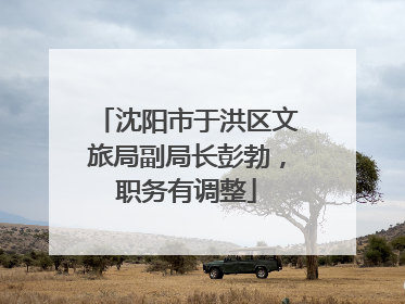 沈阳市于洪区文旅局副局长彭勃，职务有调整