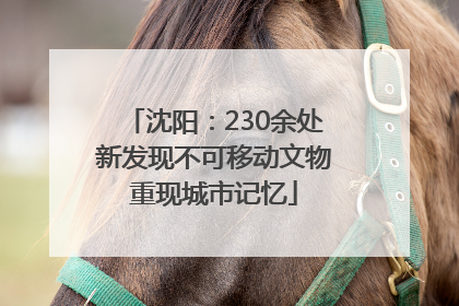 沈阳：230余处新发现不可移动文物重现城市记忆