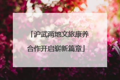 沪武两地文旅康养合作开启崭新篇章