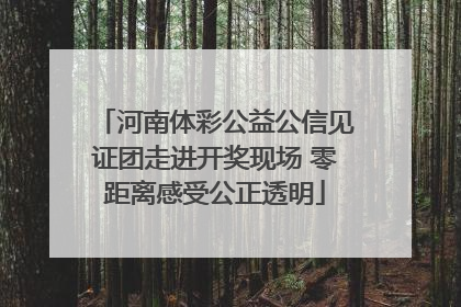 河南体彩公益公信见证团走进开奖现场 零距离感受公正透明