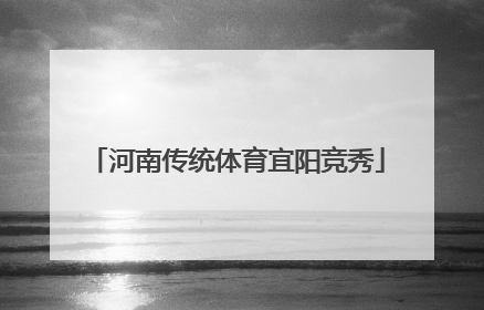 河南传统体育宜阳竞秀