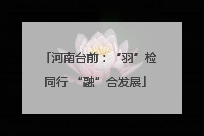 河南台前：“羽”检同行 “融”合发展