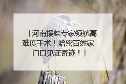 河南援疆专家领航高难度手术！哈密百姓家门口见证奇迹！