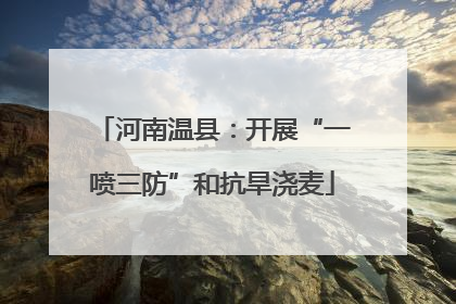 河南温县：开展“一喷三防”和抗旱浇麦