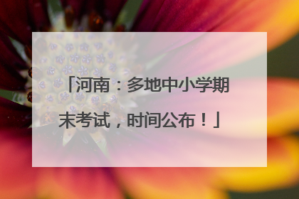 河南：多地中小学期末考试，时间公布！