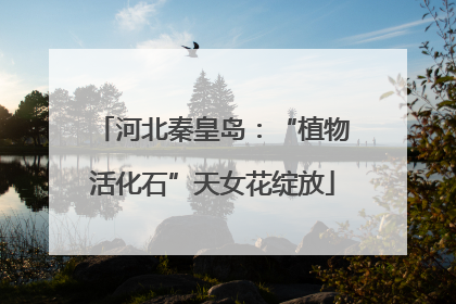 河北秦皇岛：“植物活化石”天女花绽放