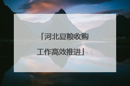 河北夏粮收购工作高效推进
