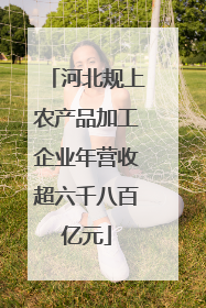 河北规上农产品加工企业年营收超六千八百亿元