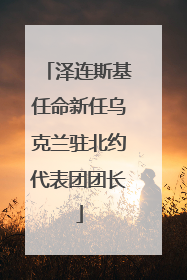 泽连斯基任命新任乌克兰驻北约代表团团长