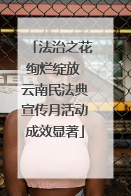 法治之花绚烂绽放 云南民法典宣传月活动成效显著
