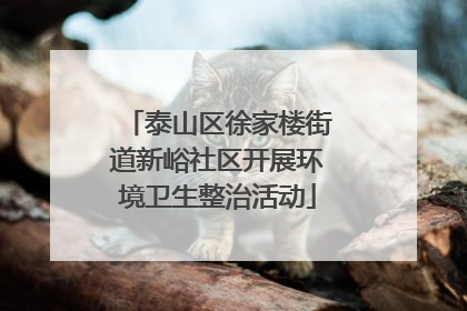 泰山区徐家楼街道新峪社区开展环境卫生整治活动