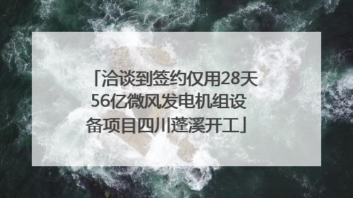 洽谈到签约仅用28天 56亿微风发电机组设备项目四川蓬溪开工