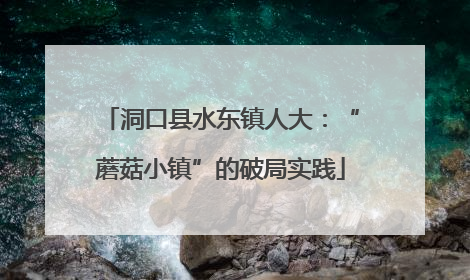 洞口县水东镇人大：“蘑菇小镇”的破局实践