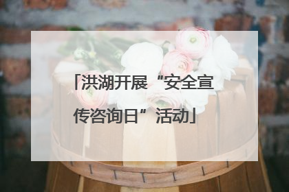 洪湖开展“安全宣传咨询日”活动