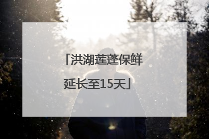 洪湖莲蓬保鲜延长至15天