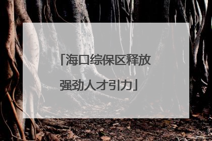 海口综保区释放强劲人才引力