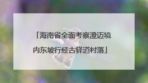 海南省全面考察澄迈境内东坡行经古驿道村落