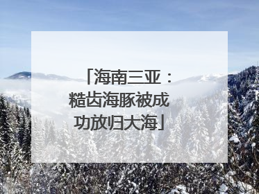 海南三亚：糙齿海豚被成功放归大海
