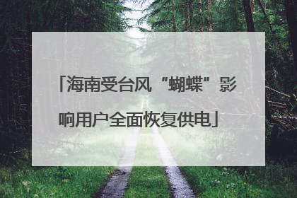 海南受台风“蝴蝶”影响用户全面恢复供电