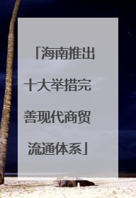 海南推出十大举措完善现代商贸流通体系