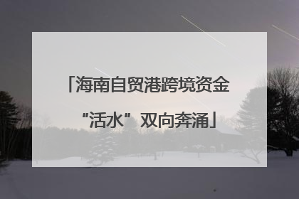 海南自贸港跨境资金“活水”双向奔涌