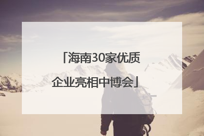 海南30家优质企业亮相中博会
