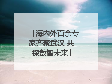 海内外百余专家齐聚武汉 共探数智未来