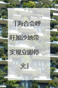 海合会呼吁加沙地带实现立即停火