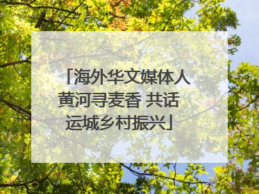 海外华文媒体人黄河寻麦香 共话运城乡村振兴
