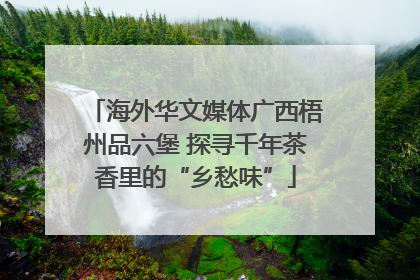 海外华文媒体广西梧州品六堡 探寻千年茶香里的“乡愁味”