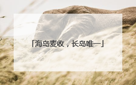 海岛麦收，长岛唯一