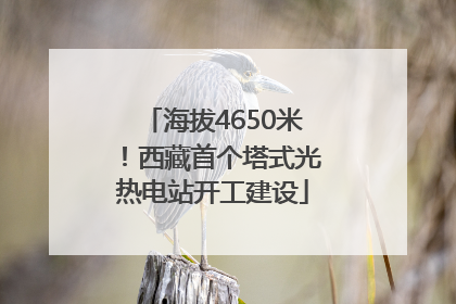 海拔4650米！西藏首个塔式光热电站开工建设