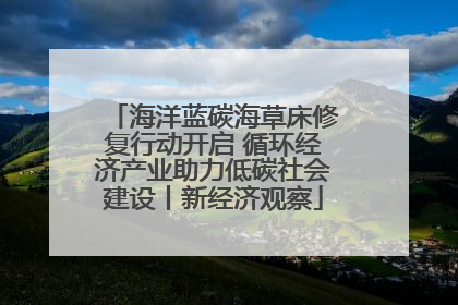 海洋蓝碳海草床修复行动开启 循环经济产业助力低碳社会建设丨新经济观察