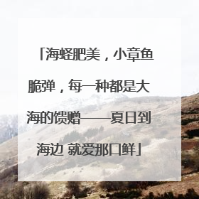 海蛏肥美，小章鱼脆弹，每一种都是大海的馈赠——夏日到海边 就爱那口鲜