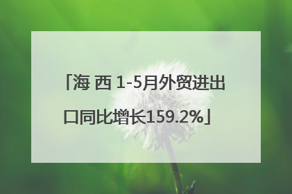 海 西 1-5月外贸进出口同比增长159.2%