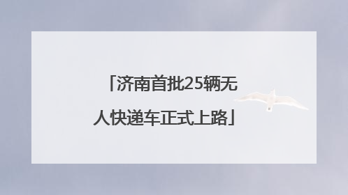 济南首批25辆无人快递车正式上路