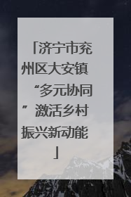 济宁市兖州区大安镇“多元协同”激活乡村振兴新动能