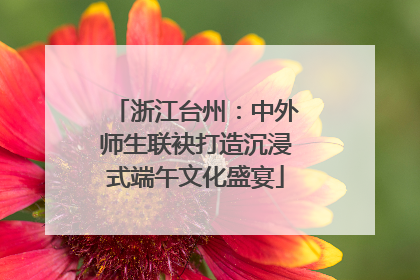 浙江台州：中外师生联袂打造沉浸式端午文化盛宴
