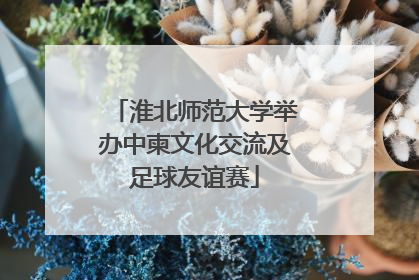 淮北师范大学举办中柬文化交流及足球友谊赛
