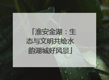 淮安金湖：生态与文明共绘水韵湖城好风景